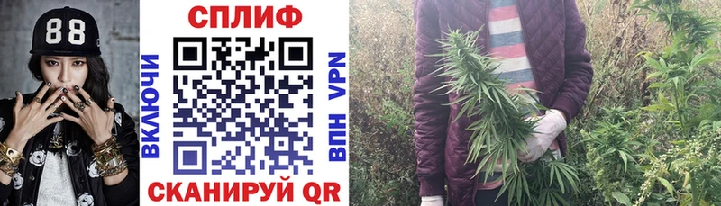 Наркошоп купить МДМА  Кокаин  ГАШИШ  Амфетамин  МЕФ  МАРИХУАНА  Пролетарск
