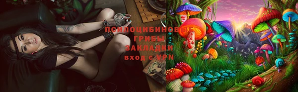apvp Кулебаки