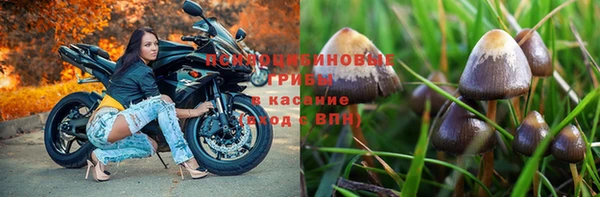 apvp Кулебаки