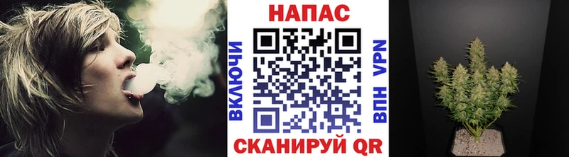 Конопля гибрид Пролетарск
